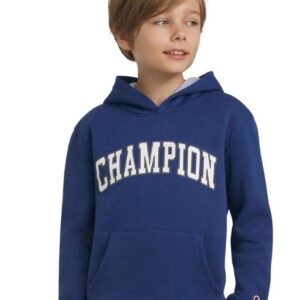 champion sudadera con capucha para niños con logo gris (copia)